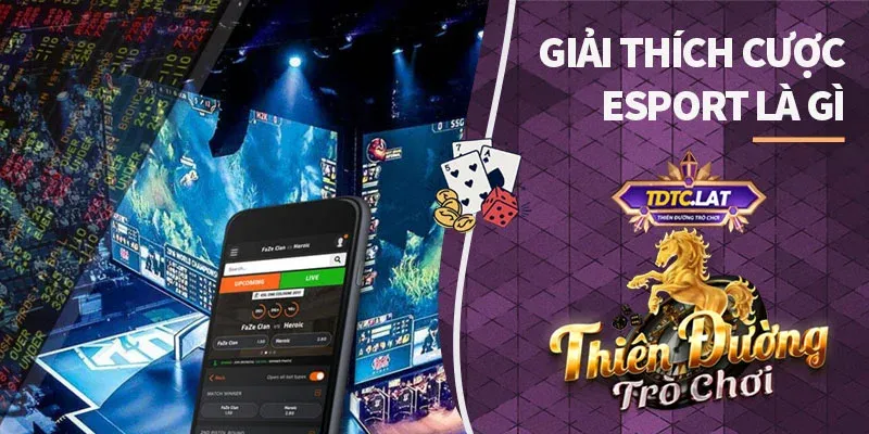 giải thích cược esport tdtc thiên đường trò chơi