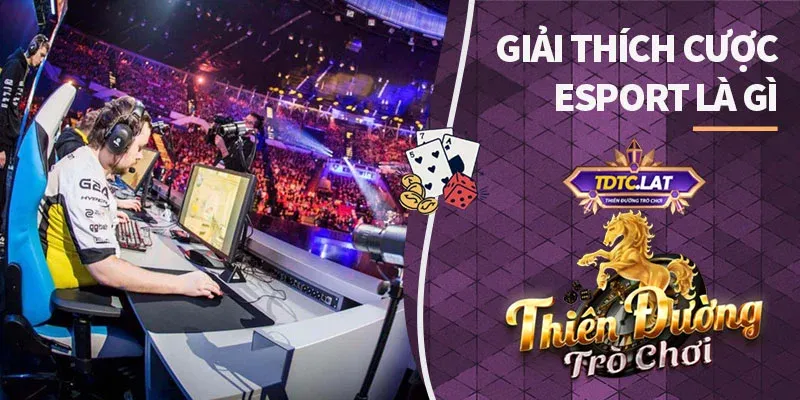 giải thích cược esport tdtc thiên đường trò chơi